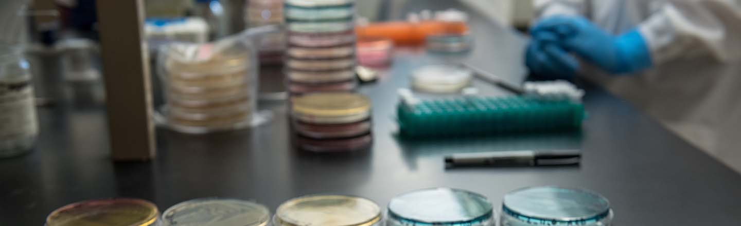 Close up of petri dishes with person in background wearing safety gear.
