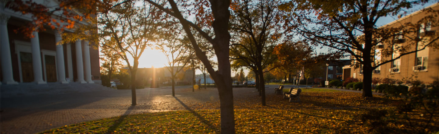 Campus in the Fall