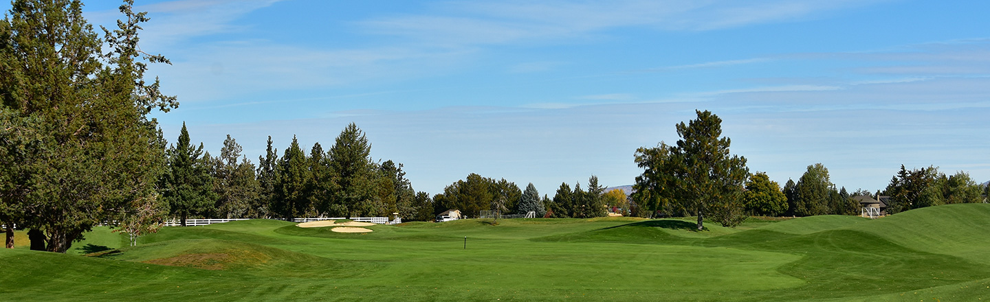 golf course landscape