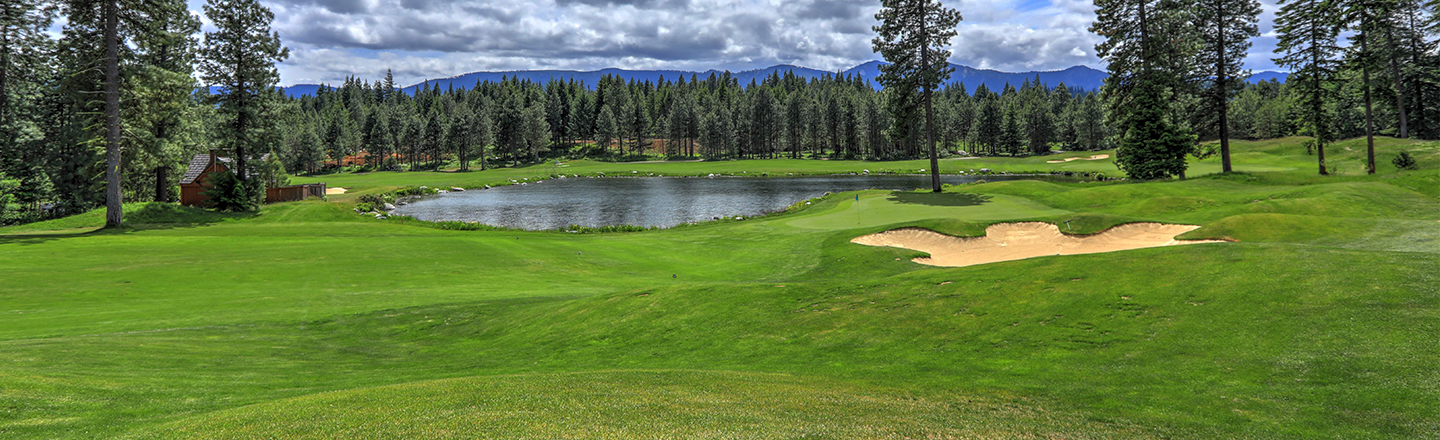 golf course surrounded by pine trees