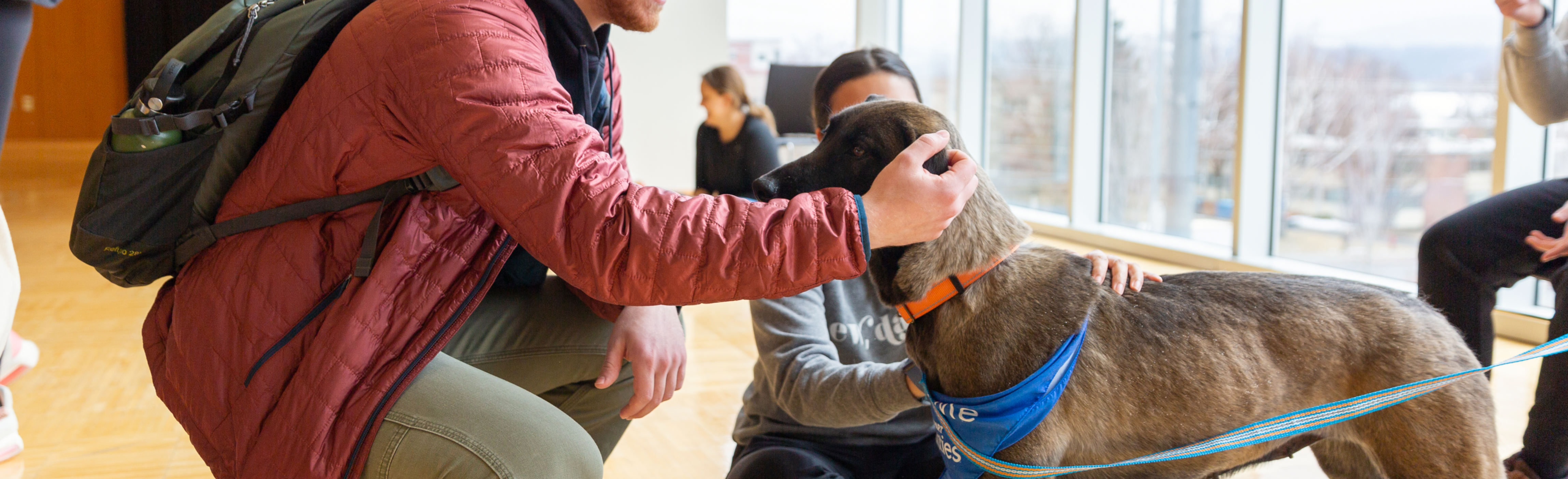 A student petting a therapy dog at a Wellness Fair