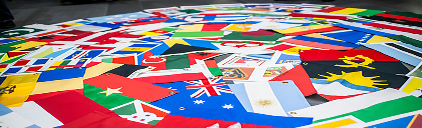 Dozens of country flags spread out in a circular design