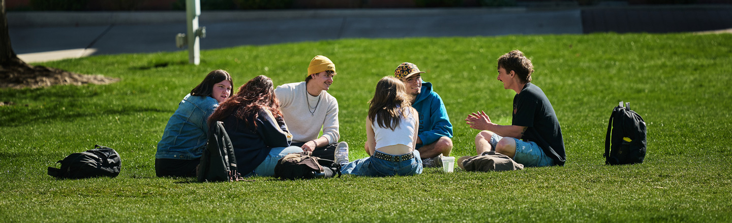 Students work together on the Foley lawn