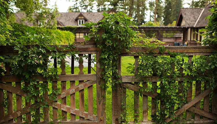 Wooden gate at Bozarth Mansion covered in vines
