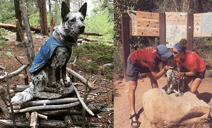 Left photo shows Aska the dog in a coat. Right photo shows Devereaux and Williams kissing their dog at the trailhead. 