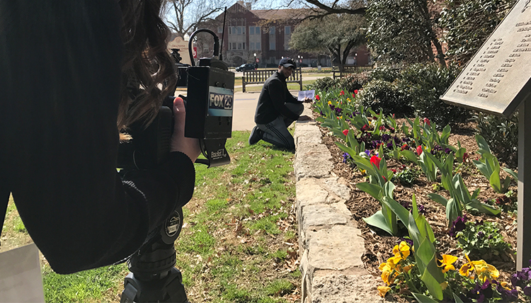 camera woman filming a man kneeling by a bed of tulips on a sunny day