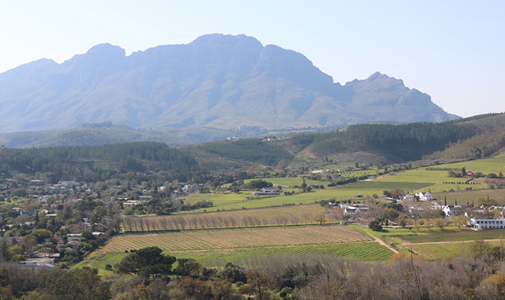 An aerial view of the mountains and vineyards surrounding Stellenbosch. 