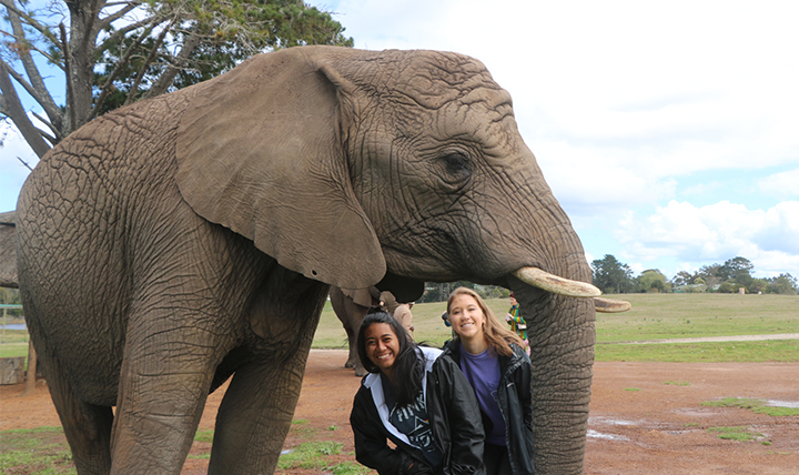 Two students pose with an elephant at an elephant sanctuary. 