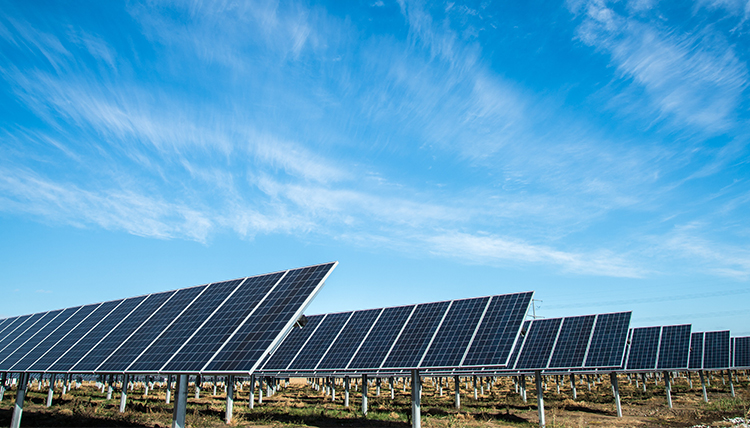 a field of solar panels and blue sky