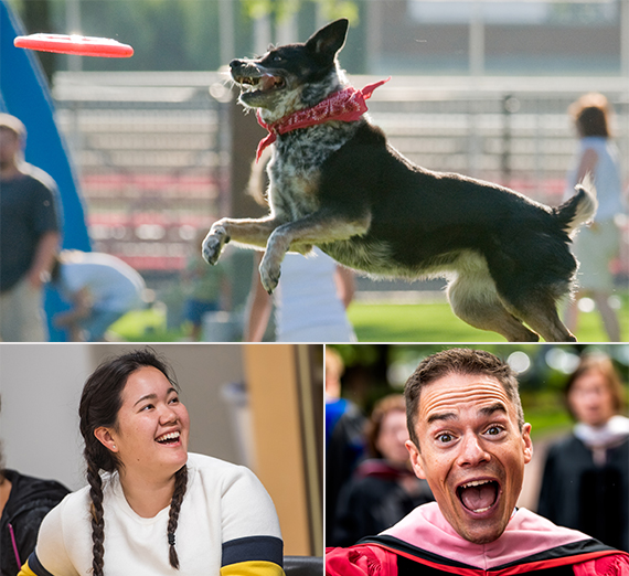 dog with frisbee and happy people