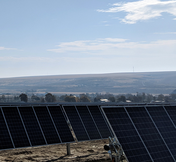 a field of solar panels and blue sky