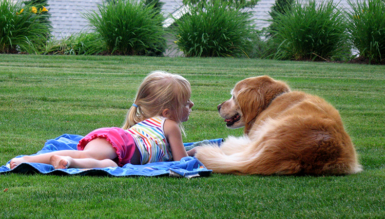 child and golden retriever lie on the ground together
