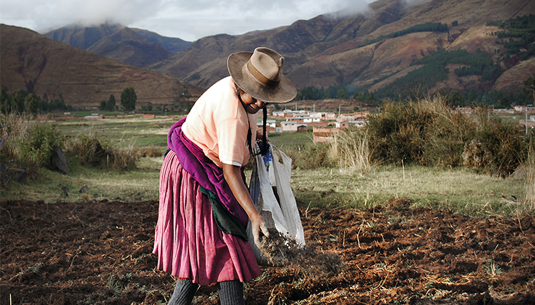 A female farmer in South America plants seeds in her field