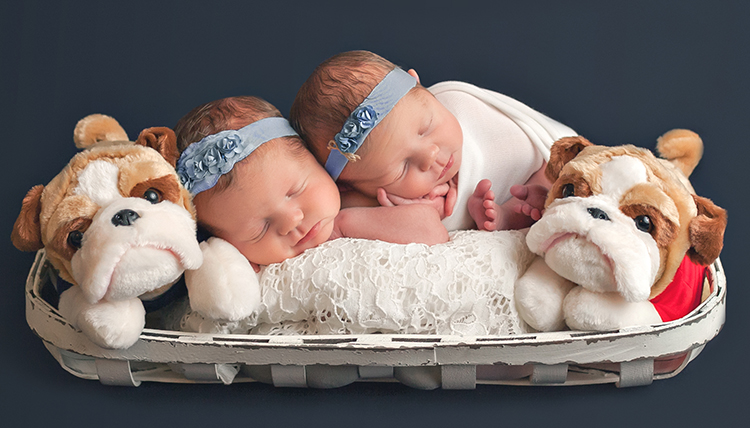 twin infant girls cuddle in a basket with stuffed bulldog puppies