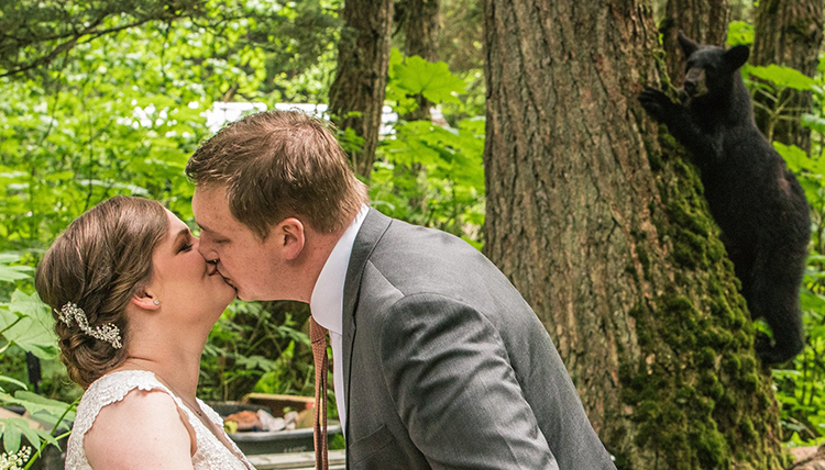 couple weds in Alaska outdoors with bear in the background on a tree