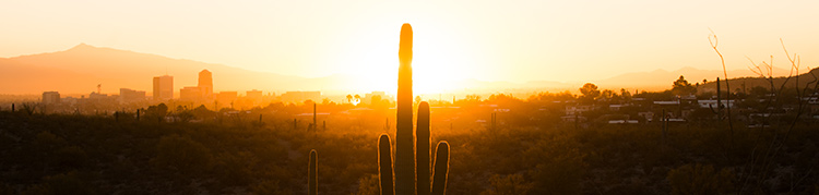 A saguaro cactus is silhouetted against a city skyline near the U.S./Mexico border