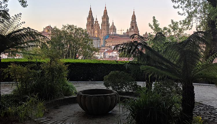 the cathedral of santiago through the trees