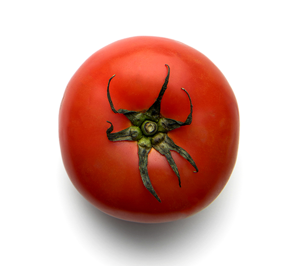 red ripe tomato