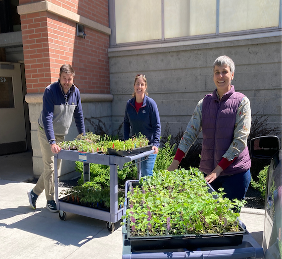 GU staff members Brian, Rebekah, and Abbey stand in front of trays of many plant starts, ready to be delivered to resource organization Our Place.