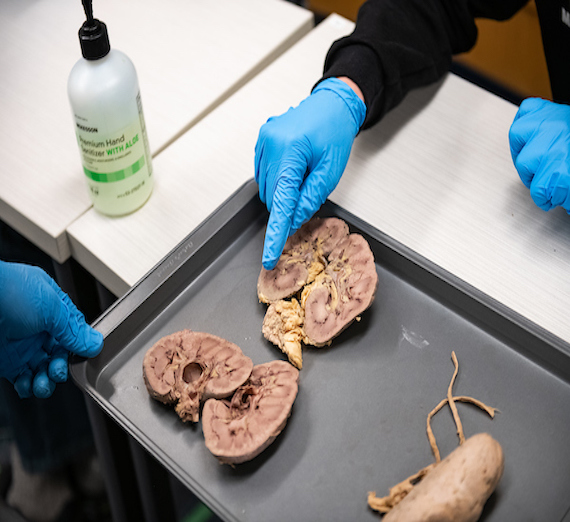 Claire Henson and Megan Sathoff, student interns, stand together at a medical facility.