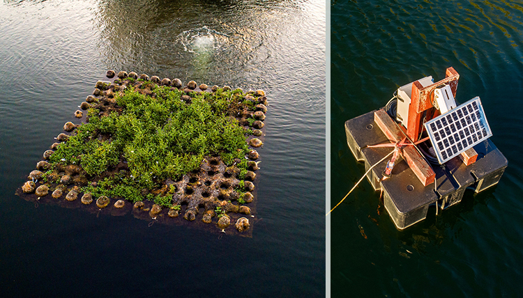 floating island of plants and floating data collector