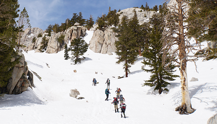 hikers ascend into the woods on the mountain