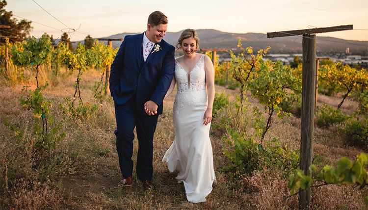 wedding couple walking in a vineyard at sunset