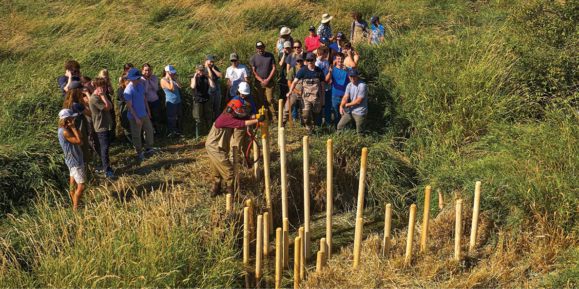 civil engineering students observe the first step of creating a beaver dam analog: setting pine posts across the creek