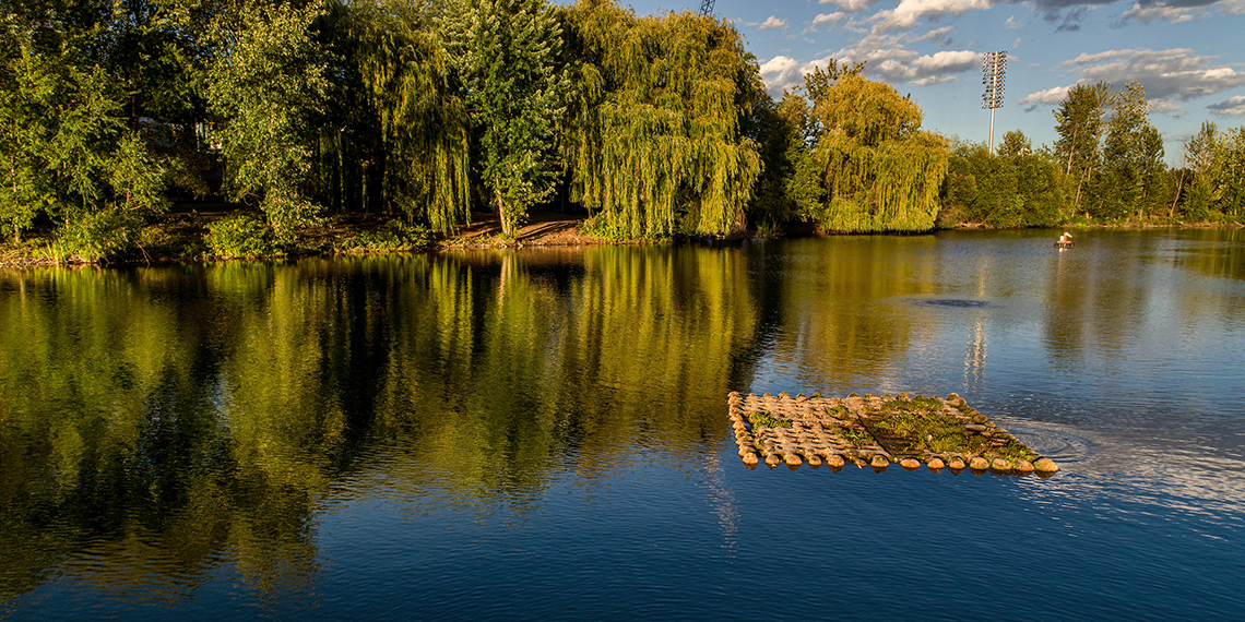 lake arthur with willow trees reflecting on water