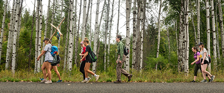 students walk beside trees