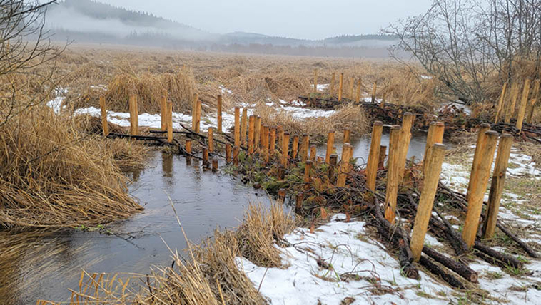 A completed  starter dam in the foreground and a secondary dam behind it