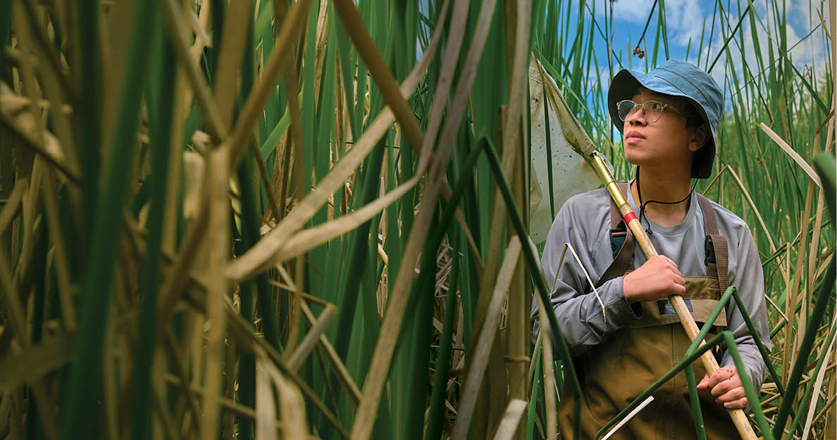 man standing in tall grass
