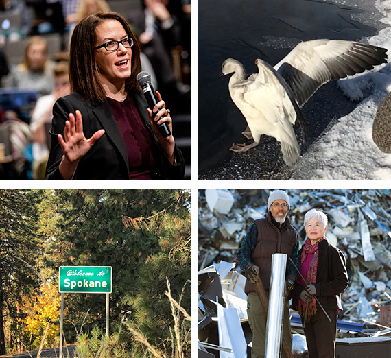 four separate photos representing news stories