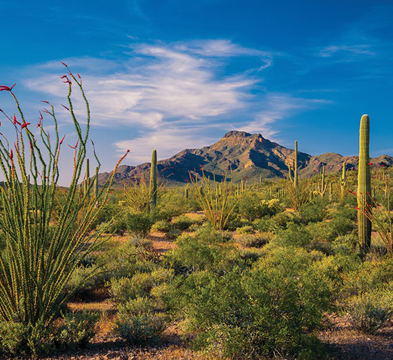 scenery from Arizona