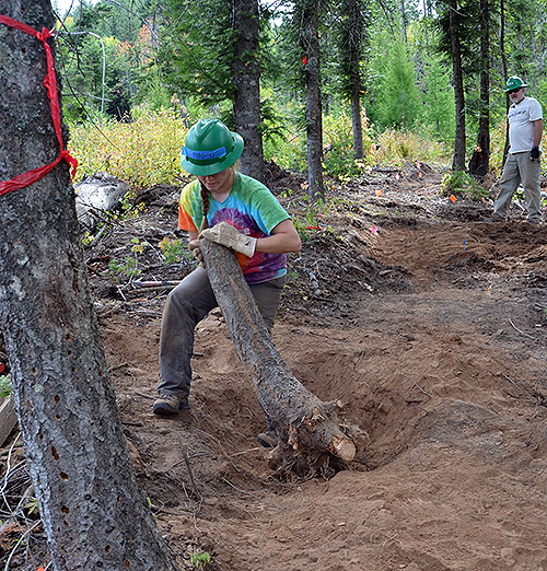 A Gonzaga student in an environmental studies course helps build a new trail with the Washington Trails Association on the recently acquired Mica Peak conservation land. (Photo courtesy Greg Gordon)