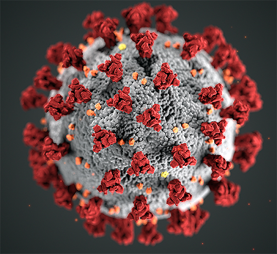 coronavirus cdc 23311