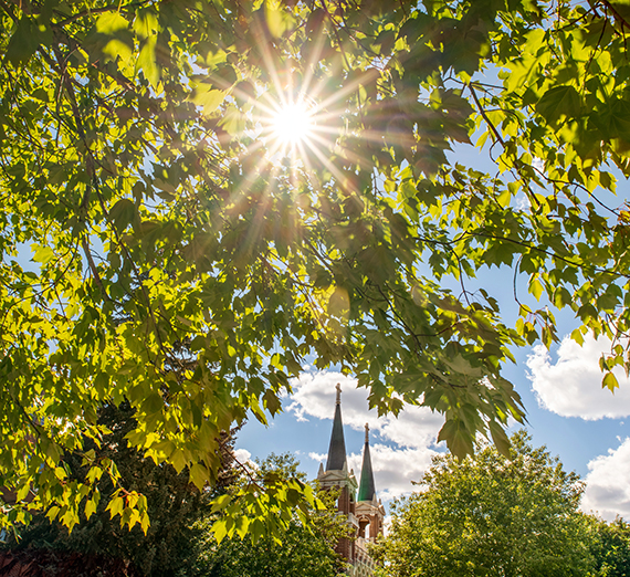 Summer scene Gonzaga University