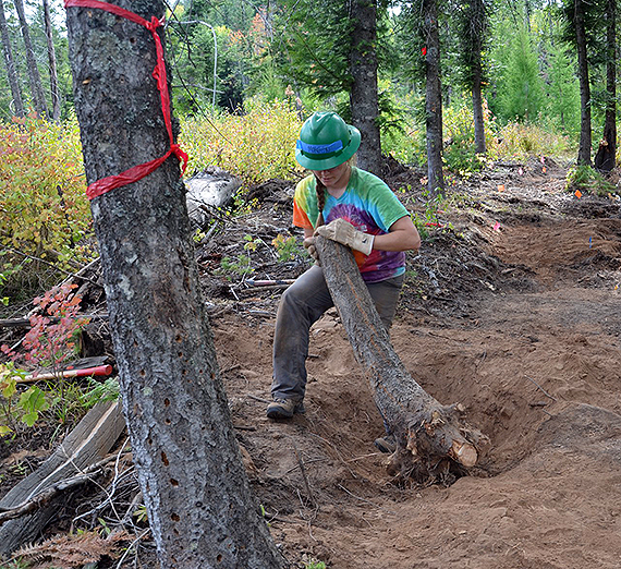 A Gonzaga student in an environmental studies course helps build a new trail with the Washington Trails Association on the recently acquired Mica Peak conservation land. (Photo courtesy Professor Greg Gordon)