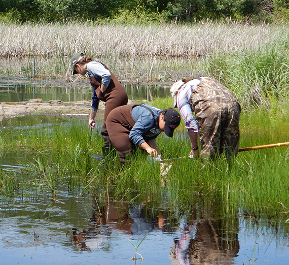 Students taking samples for lab research from a Northwest lake.  