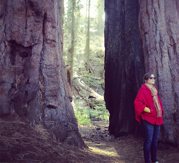 anne osgood among ancient trees 