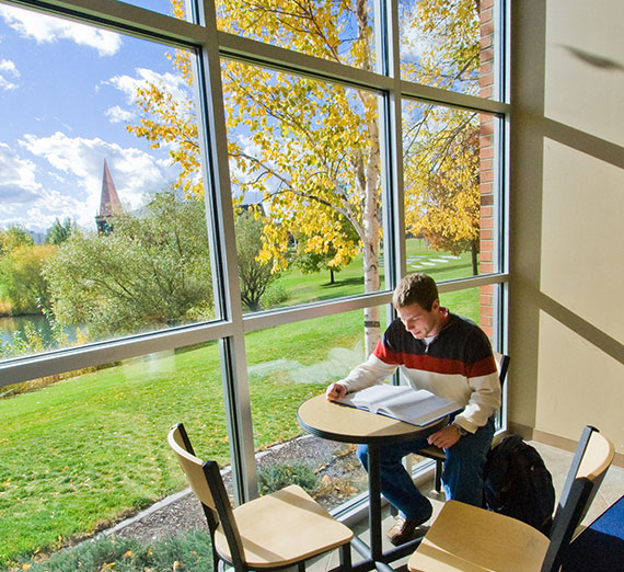 A male students reads a book next to a window 