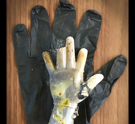 A photograph of gloves recovered from a wildfire, shot by Norma Quintana 