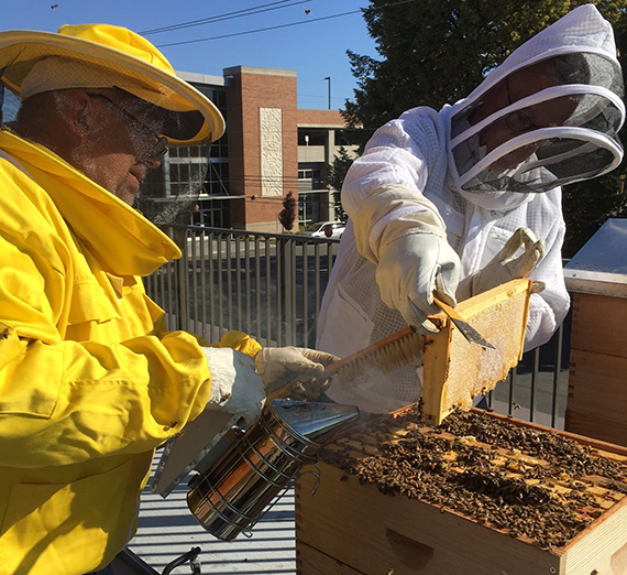 (from left) Dan Harris and Chuck Faulkinberry tend to the apiaries on the Hemmingson Center. (GU photo)