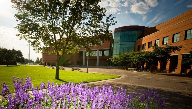 A shot of Foley Library and Foley Lawn taken from the side. It is a sunny day with some clouds and purple flowers are in the bottom of the photo.