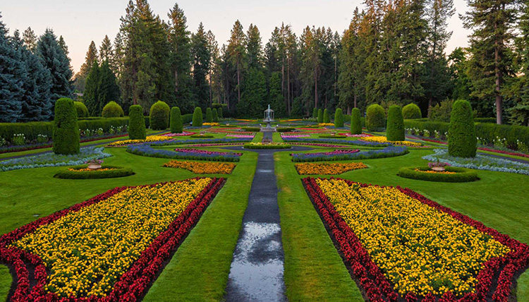 Manito Park has a large rose garden for visitors.