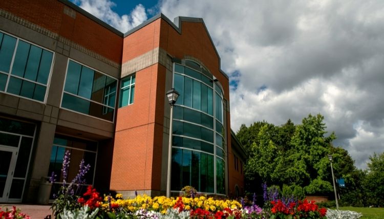 A shot of Rosauer from the back. The shot is taken looking up, with flowers at the bottom and clouds in the sky.