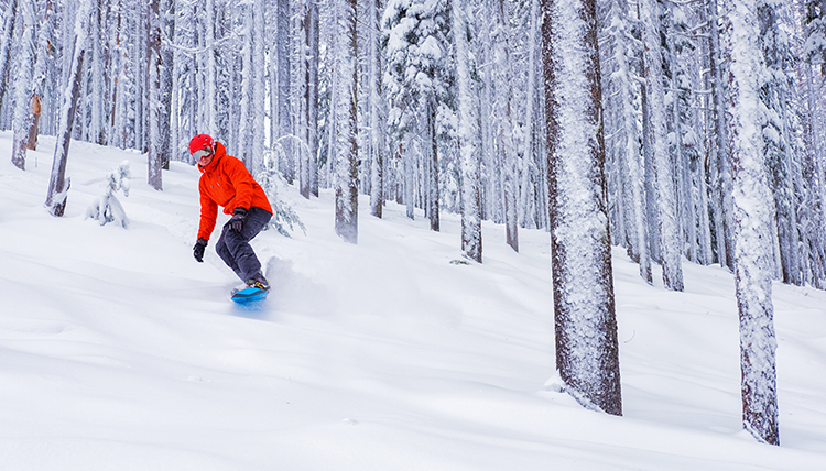 A man snowboards through snow covered trees on a snowy slope. 