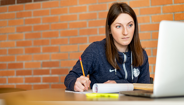 A student reads and takes notes on her computer. 