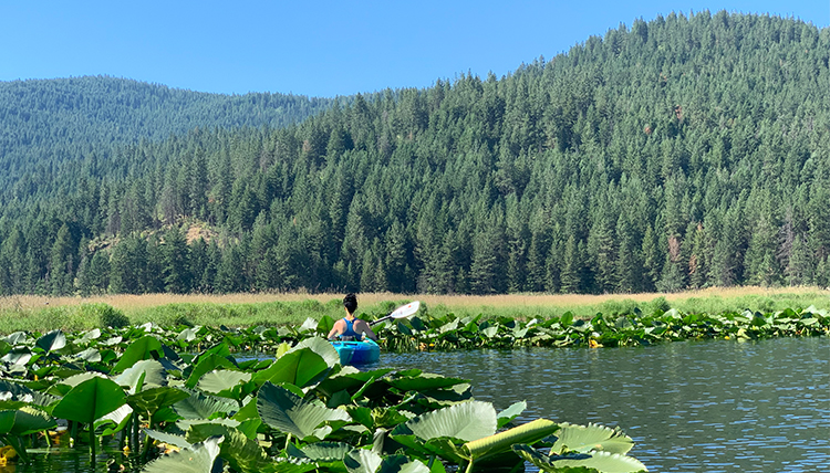a kayaker among the lily pads at Liberty Lake near Spokane Washington