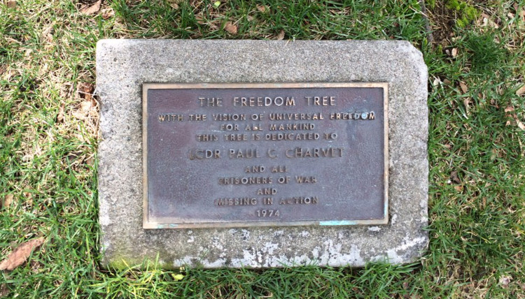 Freedom tree plaque for Charvet's memorial